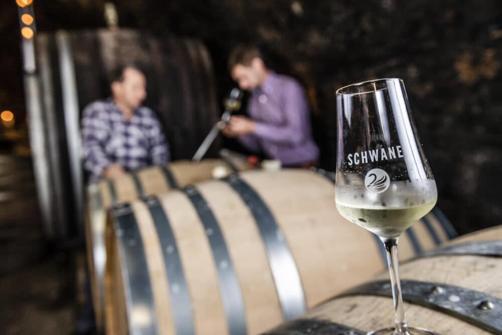 FairChoice - Weingut zur Schwane - Hannes Niederkofler_HQ-8970