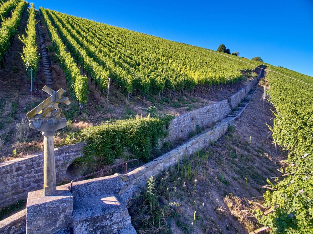 FairChoice - Weingut zur Schwane - _Escherndorf_GL_05_byVDP5