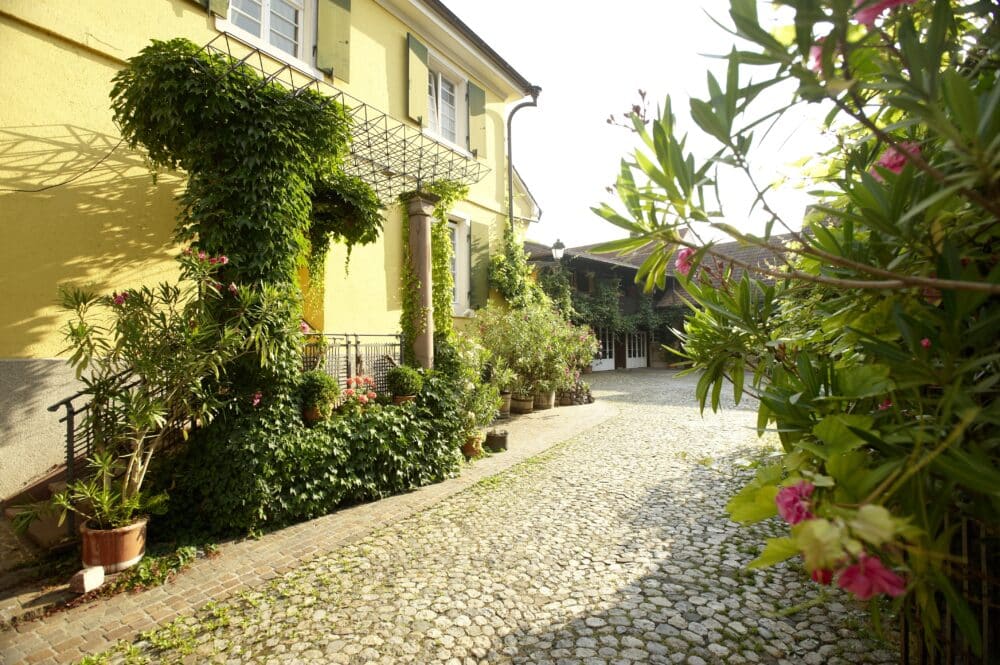 Fairchoice - Weingut Stigler Weingut 05