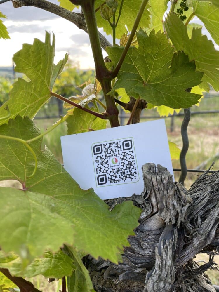 FairChoice nachhaltiger Wein 5