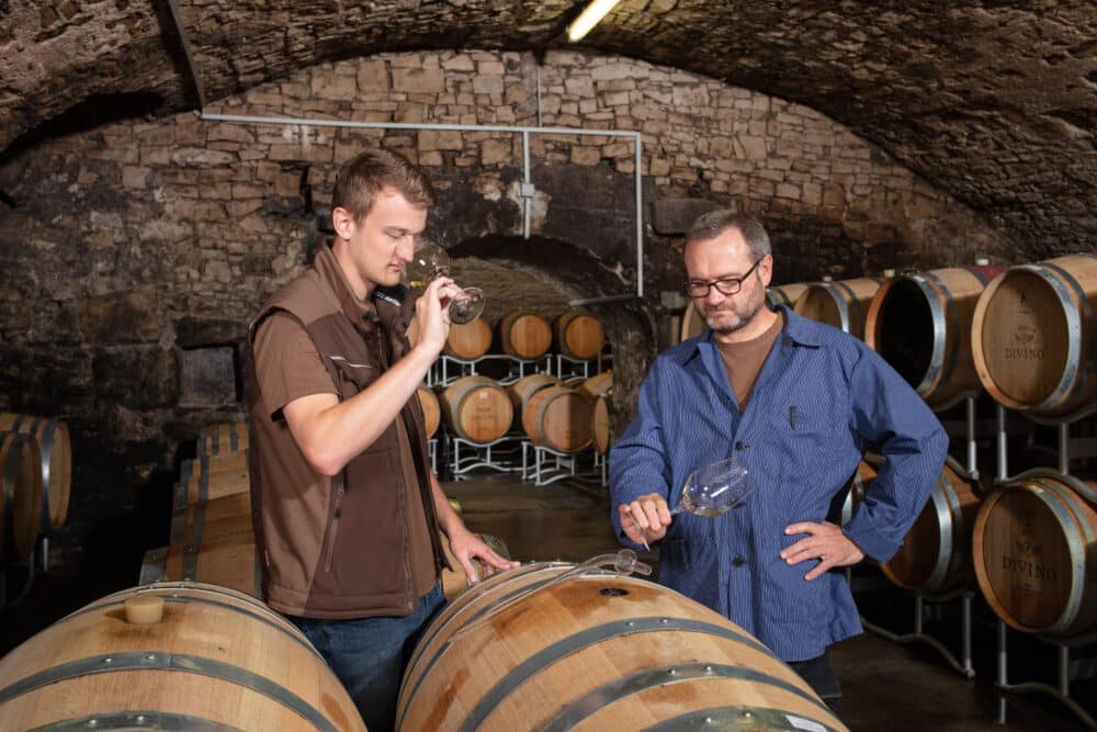 FairChoice - Divino Kellermeister-1318