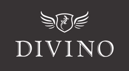 Logo Divino