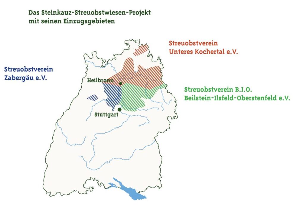 Steinkauz SSP_Karten2
