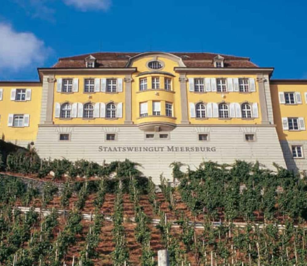 FairChoice - Staatsweingut Meersburg